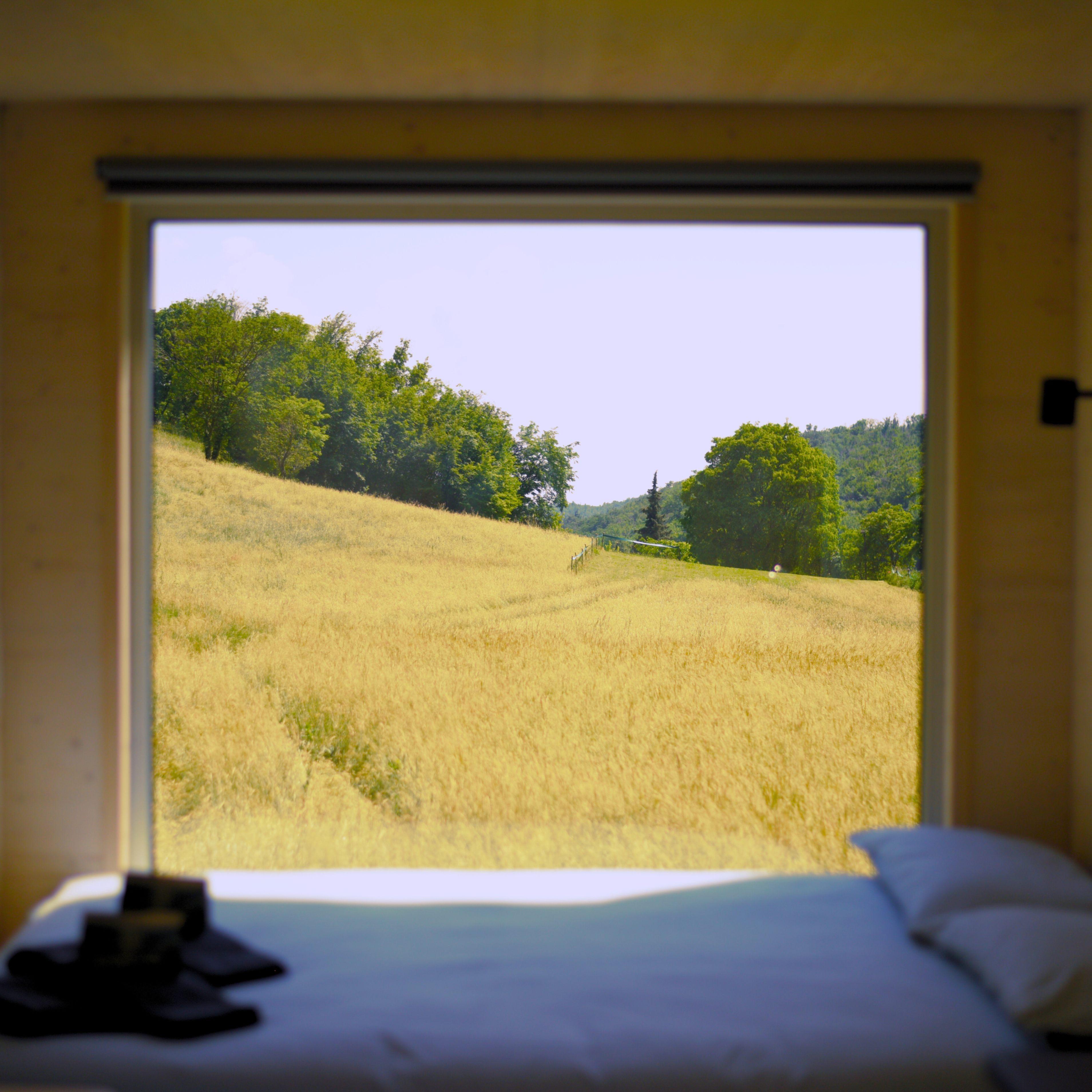 vista dalla tiny house liona