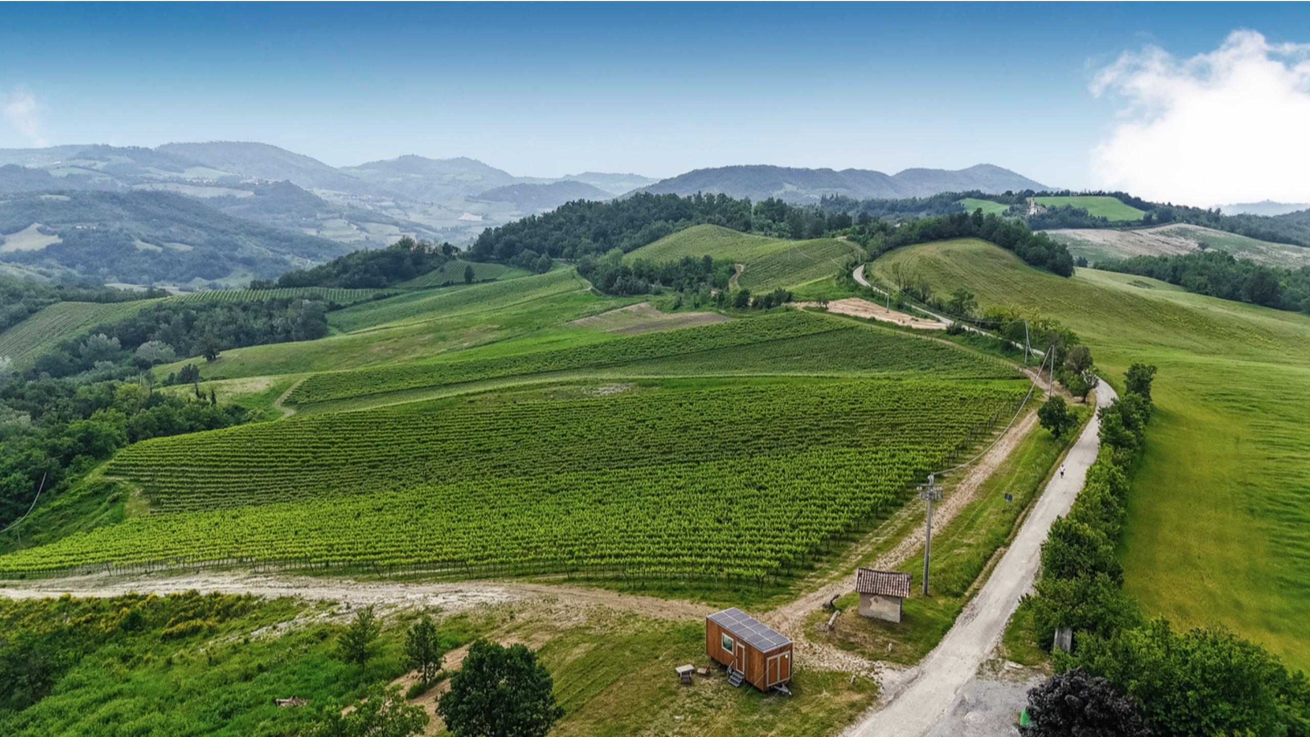 paesaggi vinicoli oltrepò