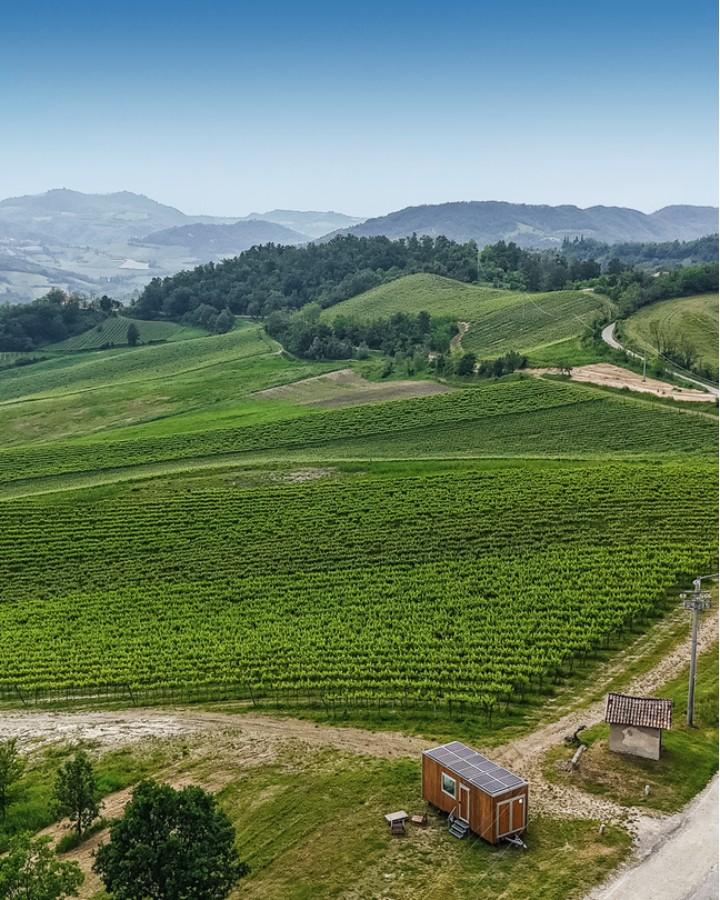 paesaggi vinicoli oltrepò
