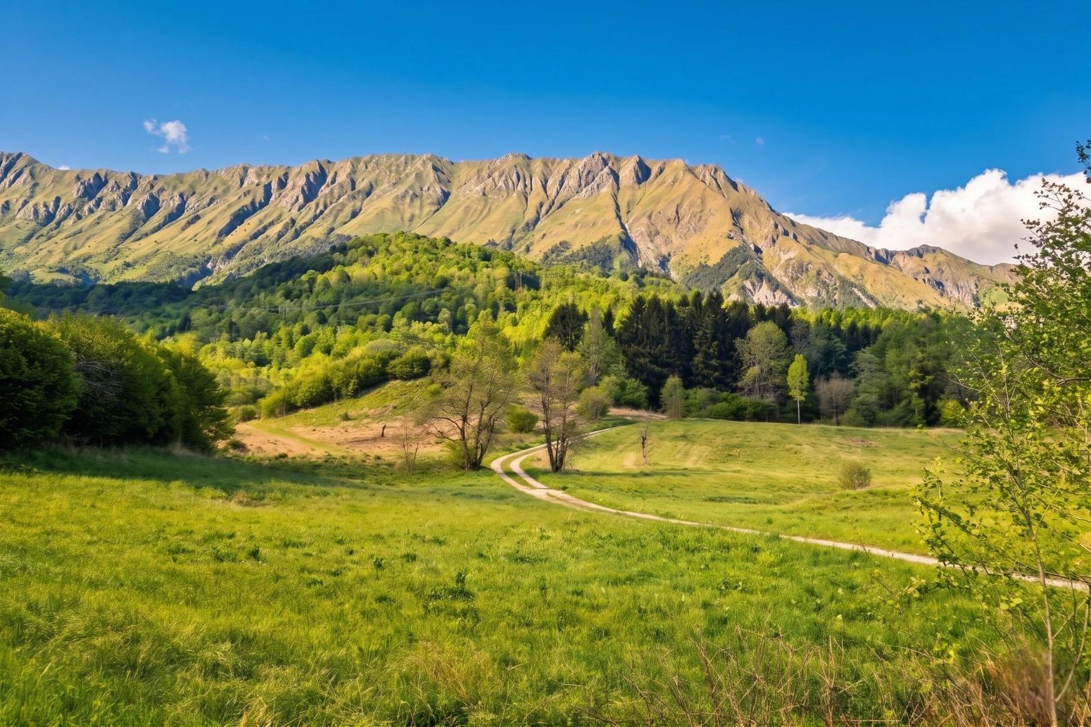 Mancano i contenuti