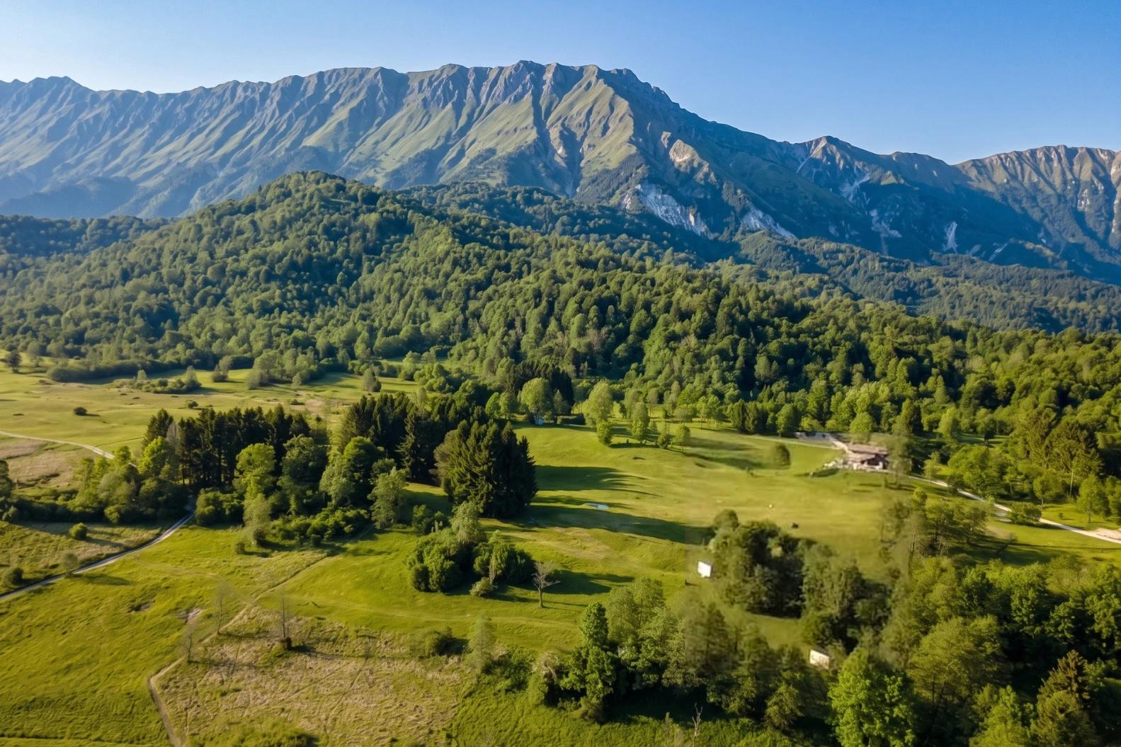 Mancano i contenuti
