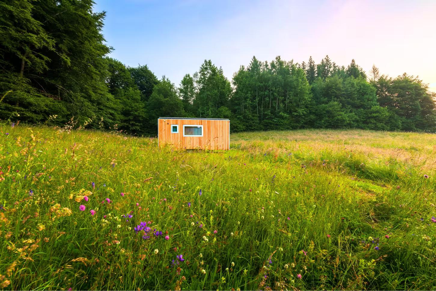 Garden with flowery lawn of the tiny house on the Curiedi plateau in Carnic Prealps